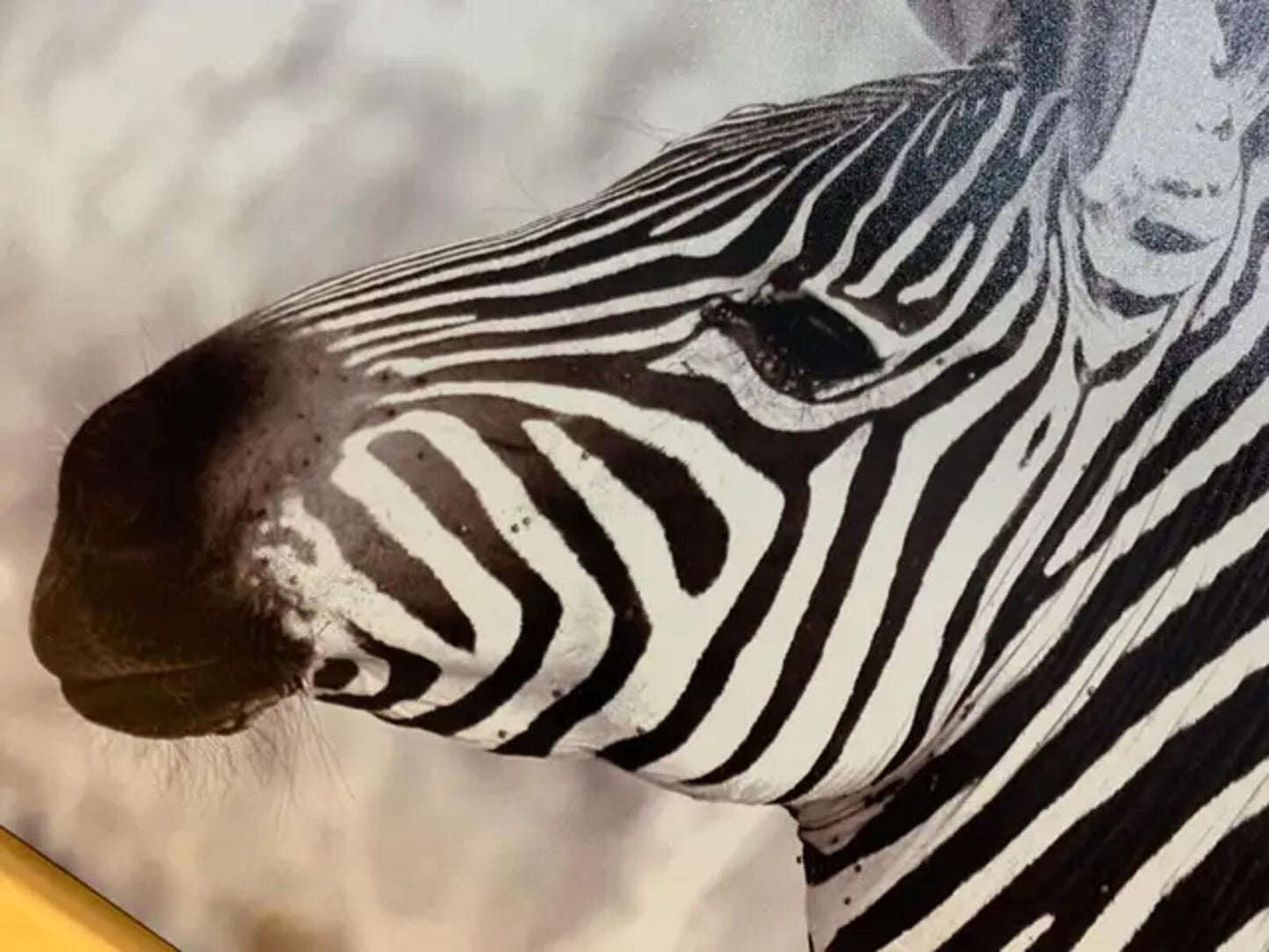 Zebra Canvas Wall Art 28 x 19