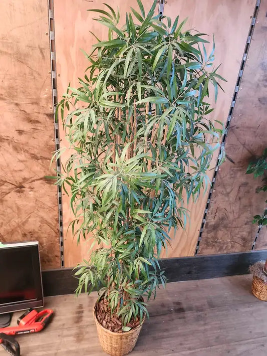 Faux Bamboo Tree - 7ft