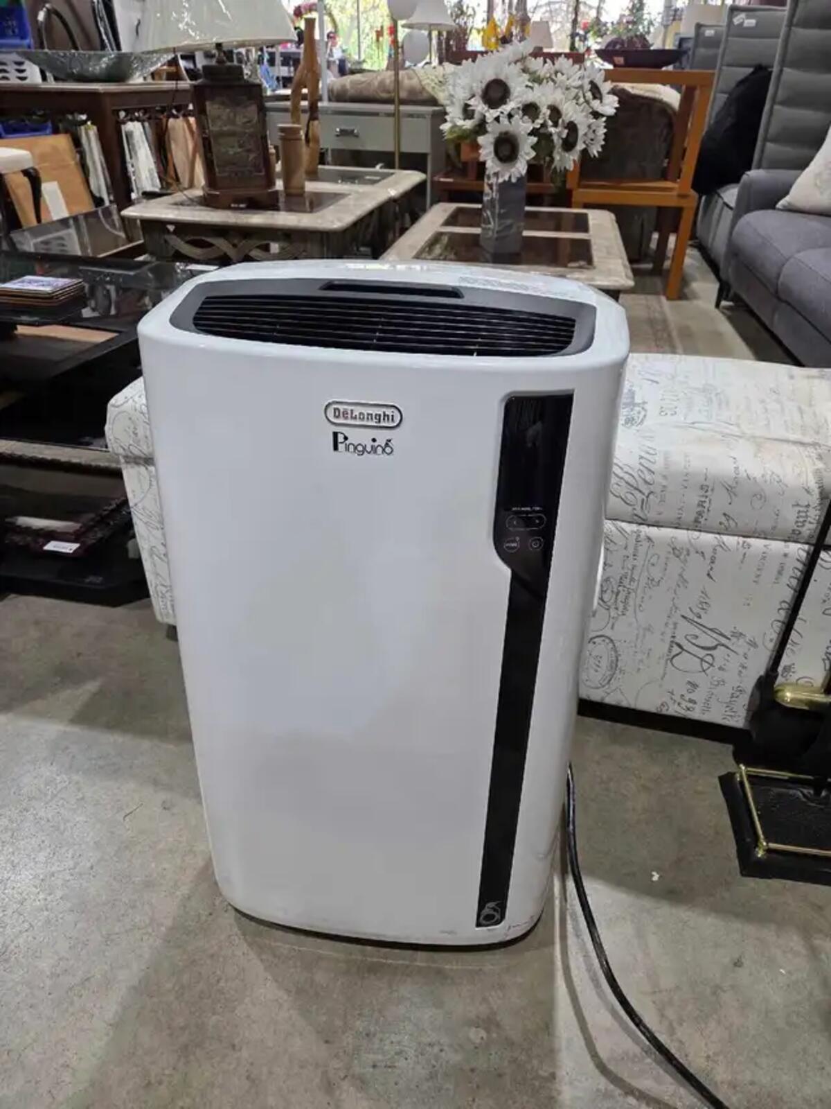 DeLonghi Pinguino Portable 4-in-1 AC Unit - 12500 BTU