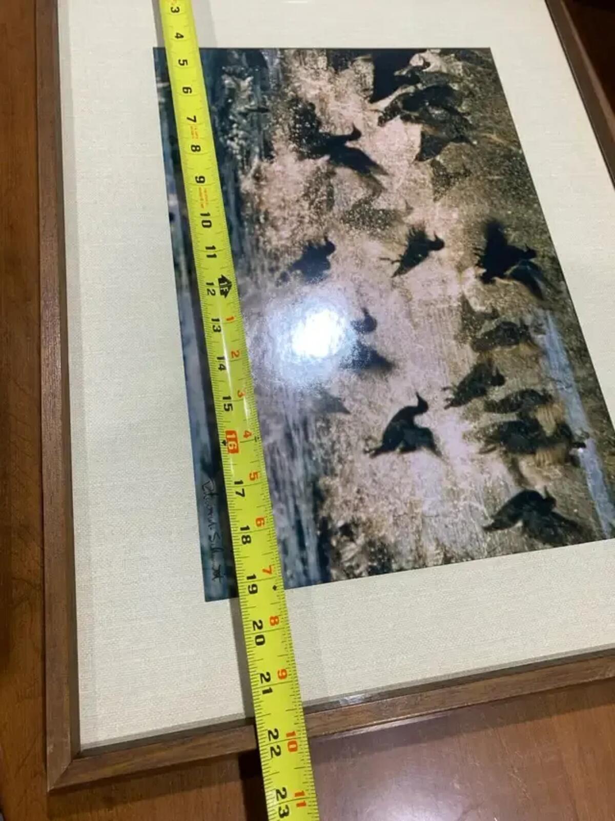 Skyward by Robert Schmitt Framed
