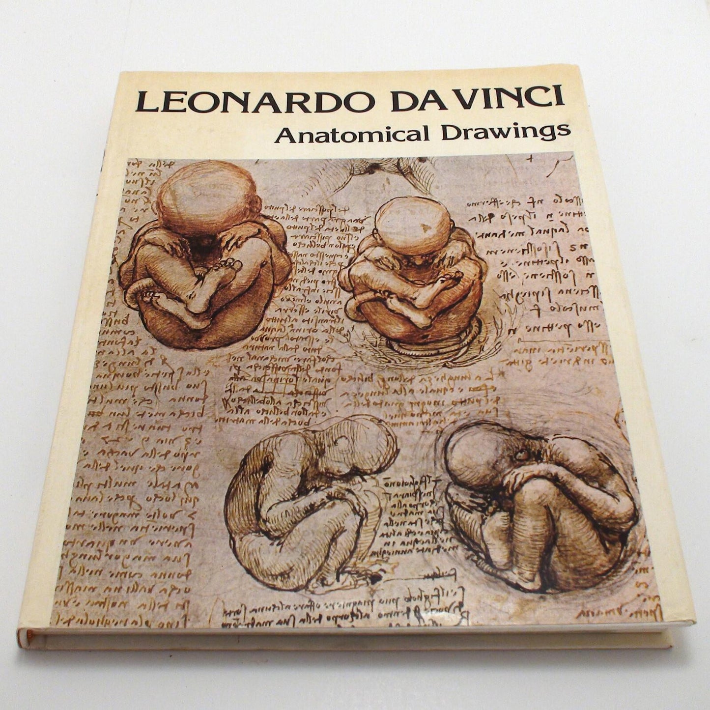 Leonardo Da Vinci Anatomical Drawings Mathe, Dr. Jean Miller Graphics 1978