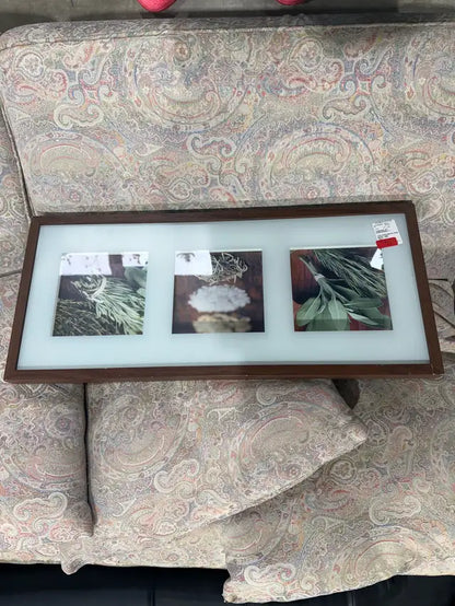 Framed Herb Prints