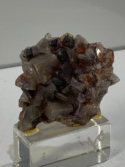 Mariposa Calcite Crystals Specimen Phantom Butterfly Hematite Brown
