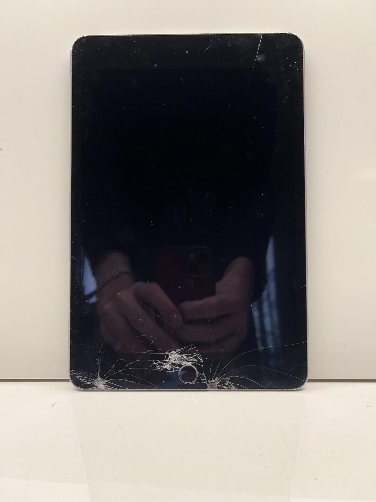 iPad Mini 4th Gen No Power