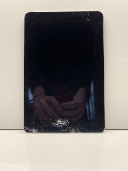 iPad Mini 4th Gen No Power