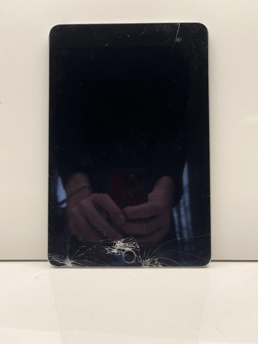 iPad Mini 4th Gen No Power