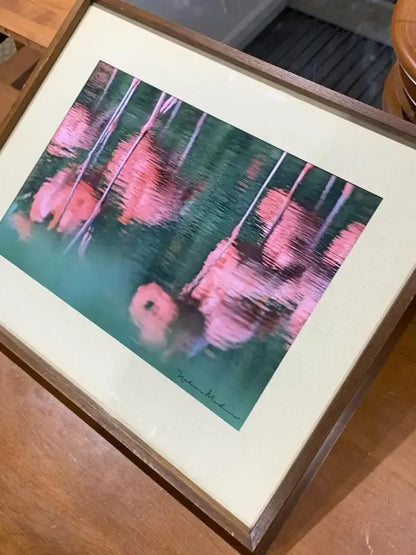 Nelson Medina Reflections Art Print