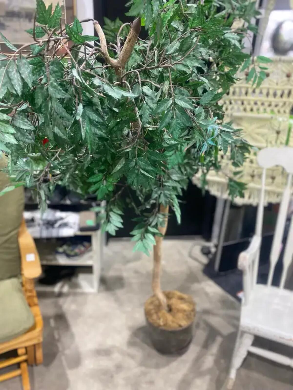 Large Faux Ming Aralia Decorative Tree