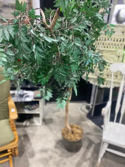 Large Faux Ming Aralia Decorative Tree