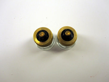Set of 2 20A Plug Fuse