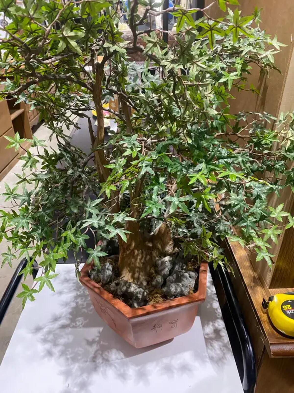 Bonsai Tree Fake Plant