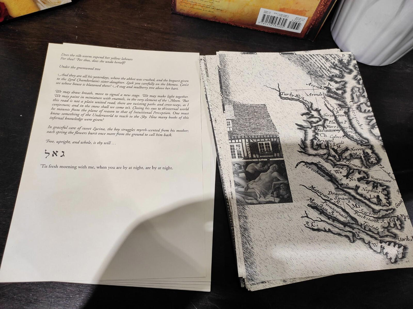 The Rose Labyrinth - Hardcover By Hardie, Titania