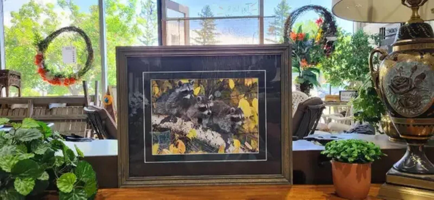 Jason Leo Bantle Three Little Rascals Framed Print
