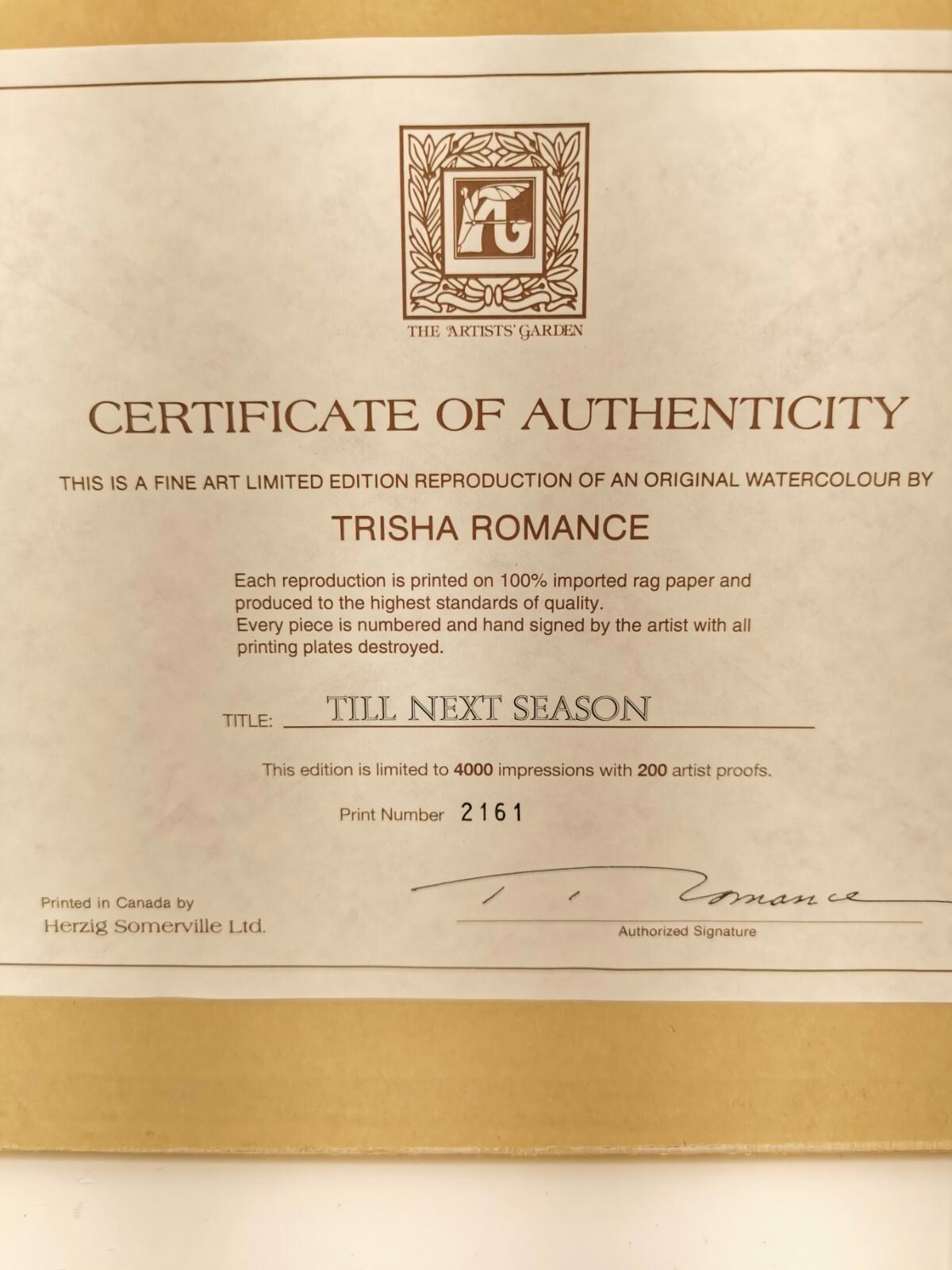 Till next season by Trisha Romance 2160/4000