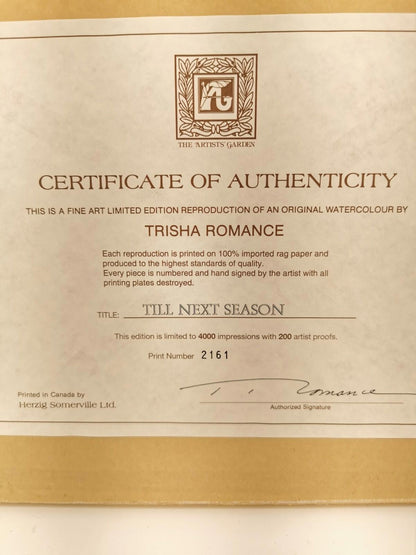 Till next season by Trisha Romance 2160/4000