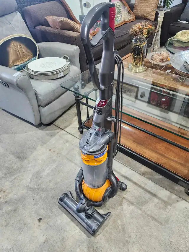 Dyson DC24