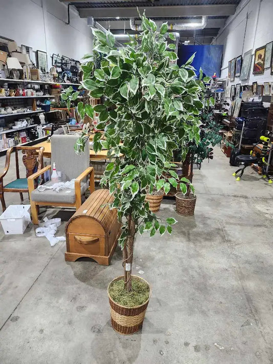 6ft Faux Ficus Tree