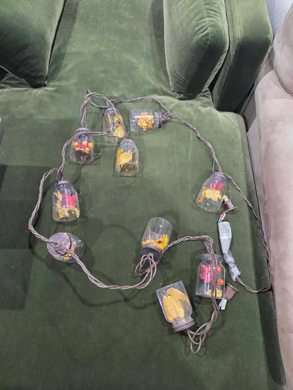 Fall Jar String Lights - 10ft