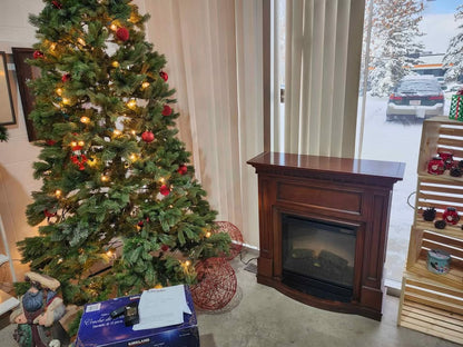Dimplex Electric Fireplace