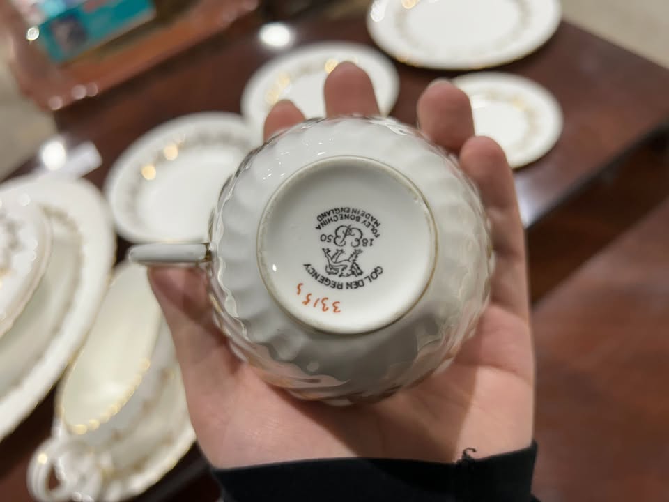Foley Golden Regency Bone China Dinnerware Set