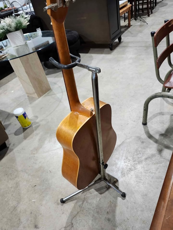 Ibanez Performance PF30 Acoustic Guitar & Stand