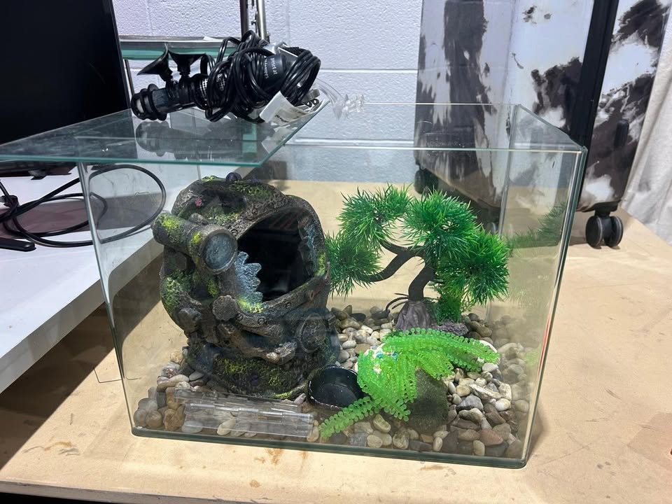 Small Aquarium - Accessories Included