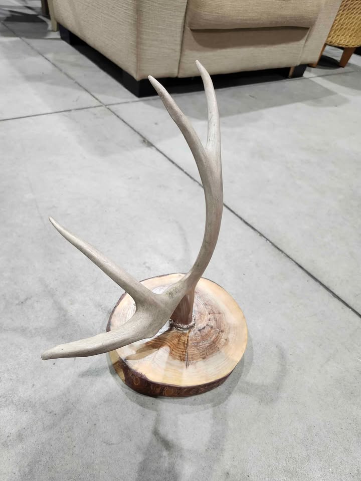 Ornamental Deer Antler Jewelry Stand Holder with Natural Wooden Base