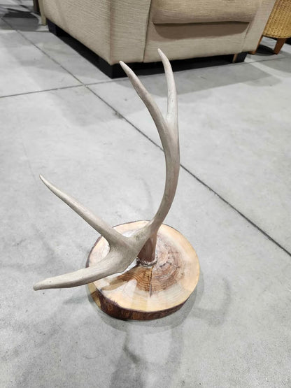 Ornamental Deer Antler Jewelry Stand Holder with Natural Wooden Base