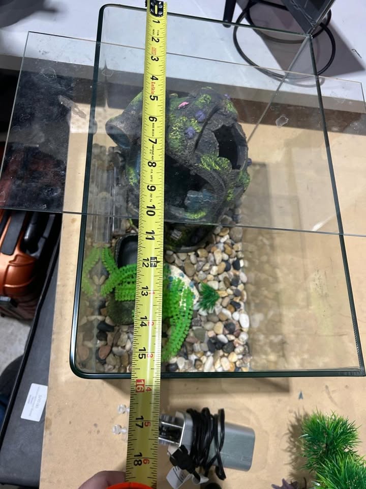 Small Aquarium - Accessories Included