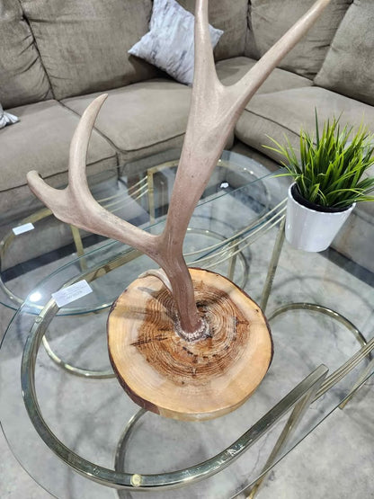 Ornamental Deer Antler Jewelry Stand Holder with Natural Wooden Base