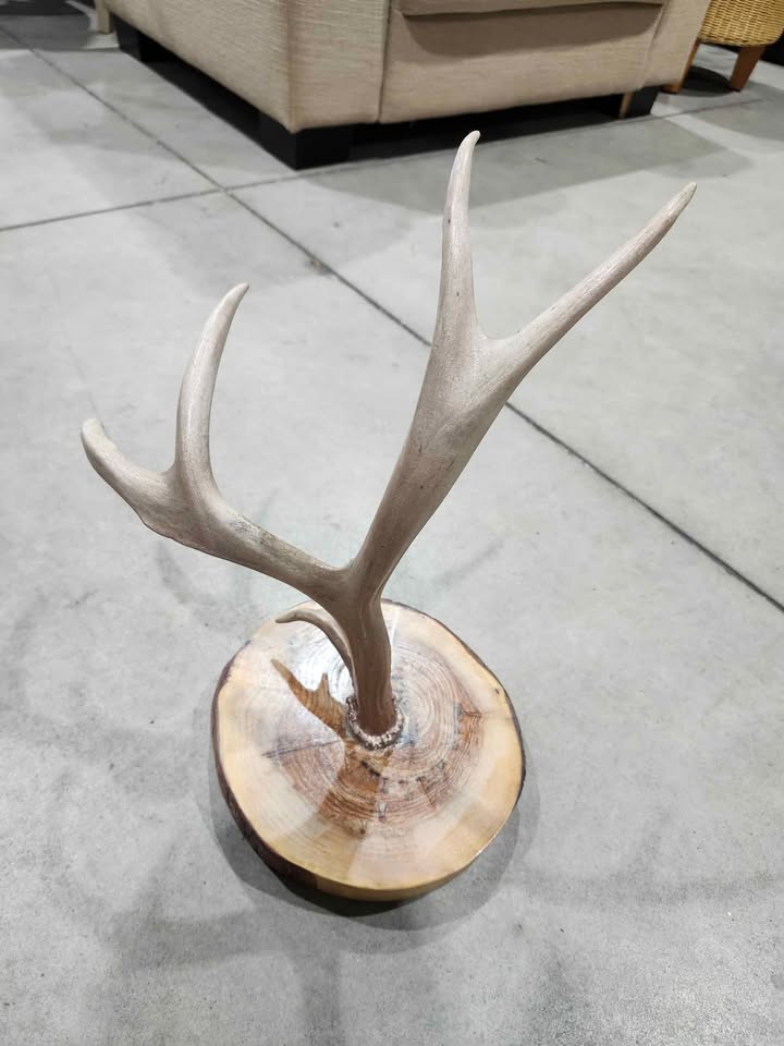 Ornamental Deer Antler Jewelry Stand Holder with Natural Wooden Base