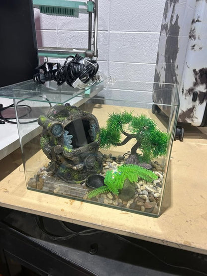 Small Aquarium - Accessories Included