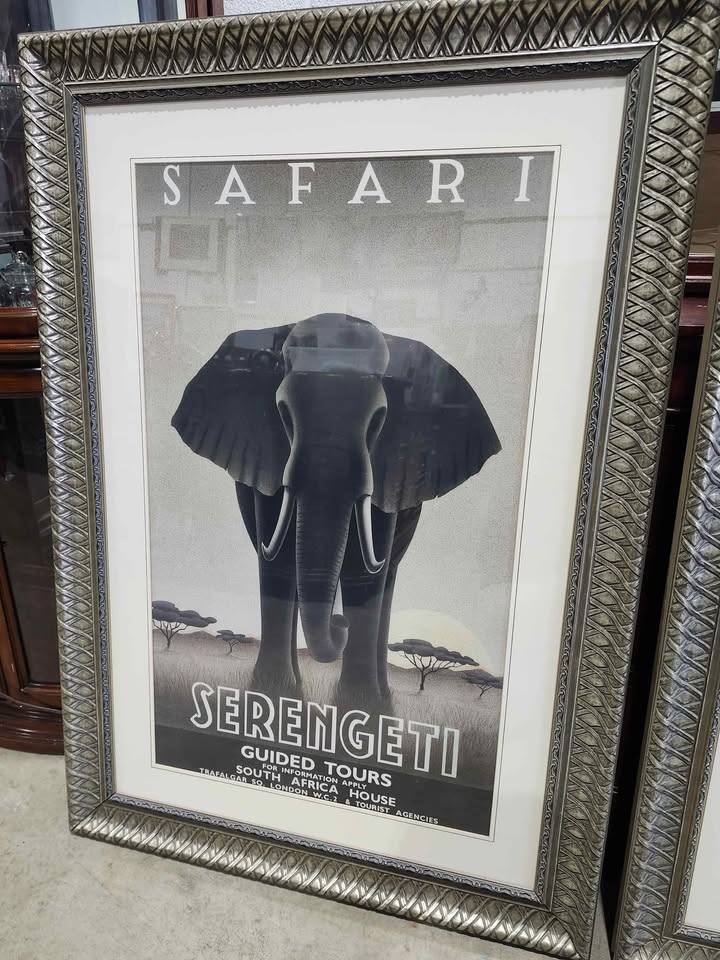 Steve Forney Framed African Safari Framed Posters/Prints 33x47"