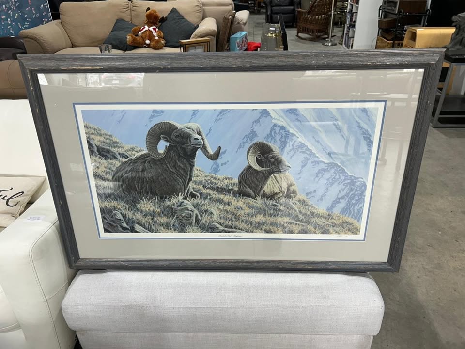 Bighorn Sheep Landscape on Frame
