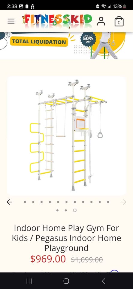 New! Indoor Home Play Gym & Playground For Kids - Pegasus