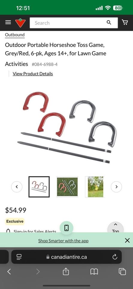 Outdoor Portable Horseshoe Toss Game