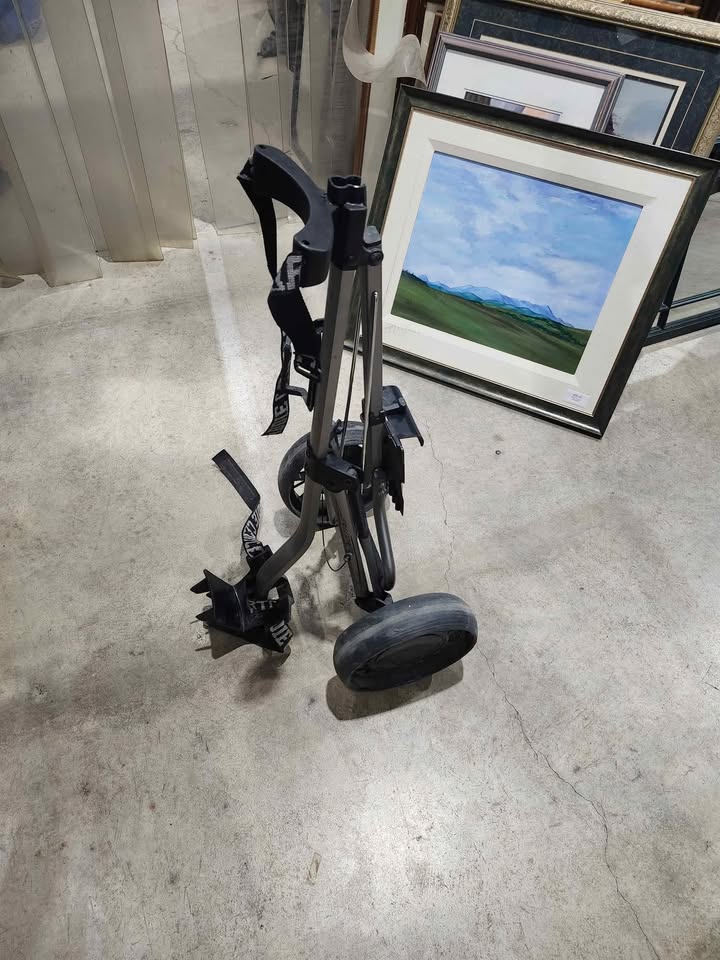 Collapsible 2-Wheeled Golf Push Cart - Cart Caddie Falcon