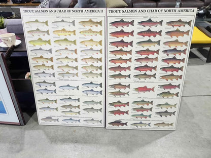 Warmwater GameFish Wooden Poster Identification Chart - 2 Available