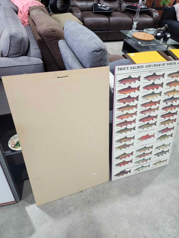 Warmwater GameFish Wooden Poster Identification Chart - 2 Available
