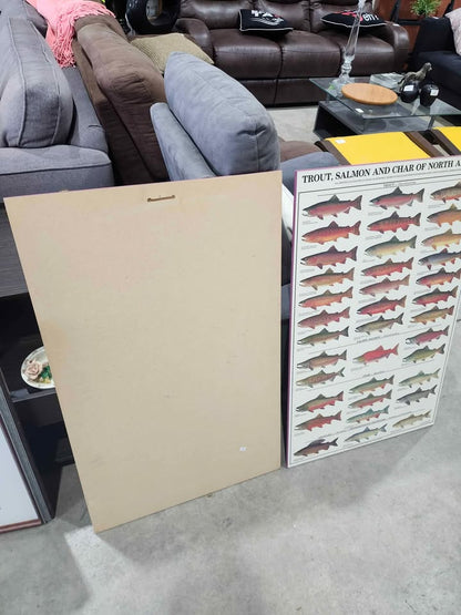 Warmwater GameFish Wooden Poster Identification Chart - 2 Available