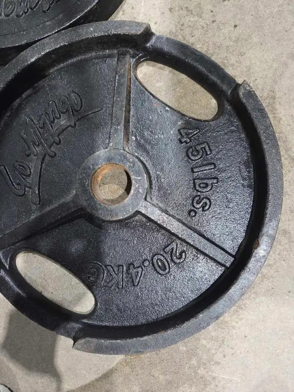 Go.Mango 45lb Weight Plates X2