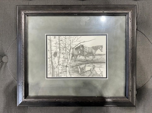 Bernie Brown Pencil Drawing - Horses in Birch Trees