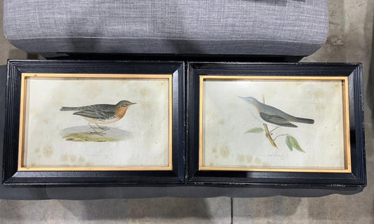 Set of Two Framed Bird Prints