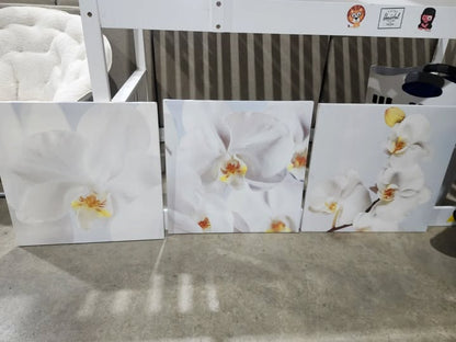 Set of 3 Ikea PJÄTTERYD white orchid canvas wall art