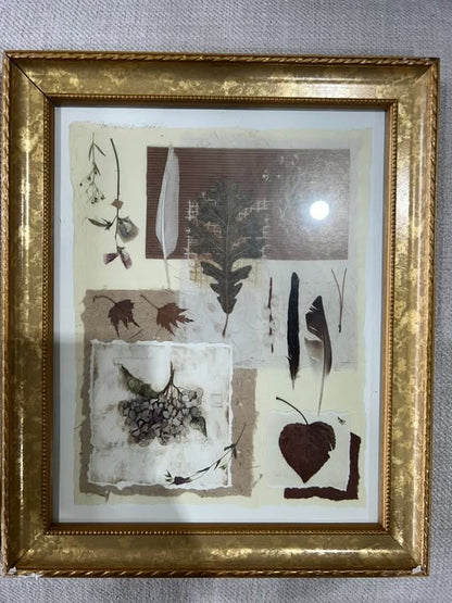 Pair of Framed Botanical Art Prints