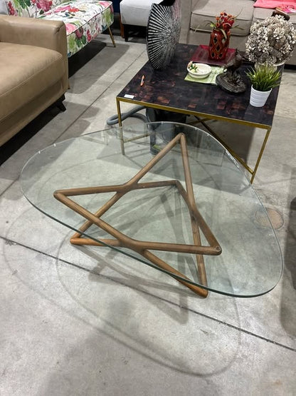 Unique Glass and Wood Coffee Table
