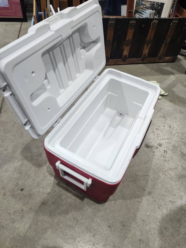 Coleman 36 Quart Electronic Radio Cooler