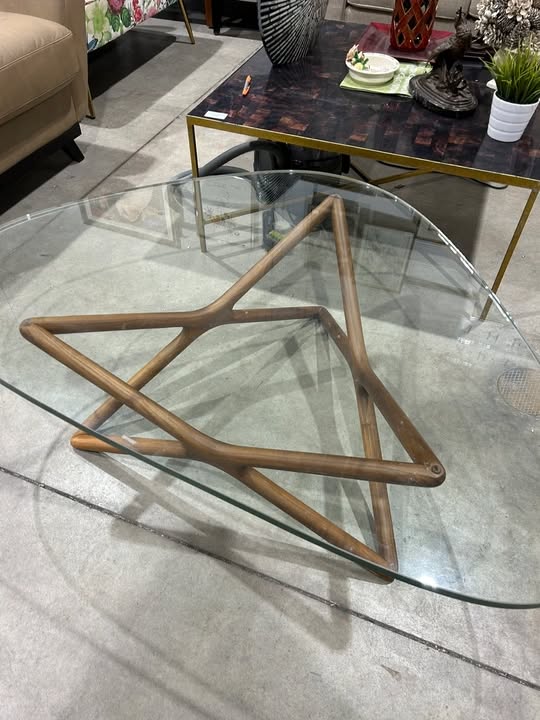 Unique Glass and Wood Coffee Table