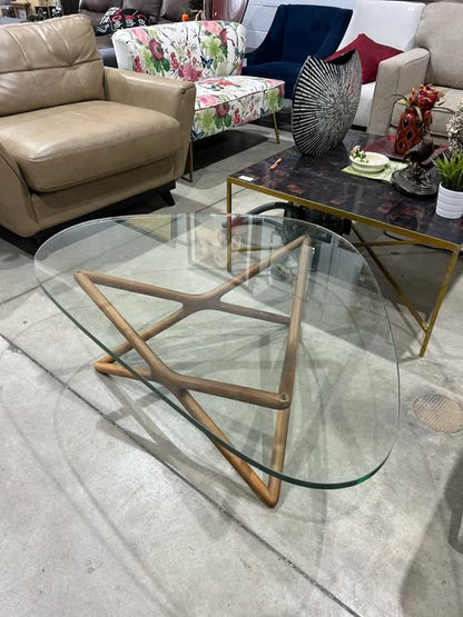 Unique Glass and Wood Coffee Table