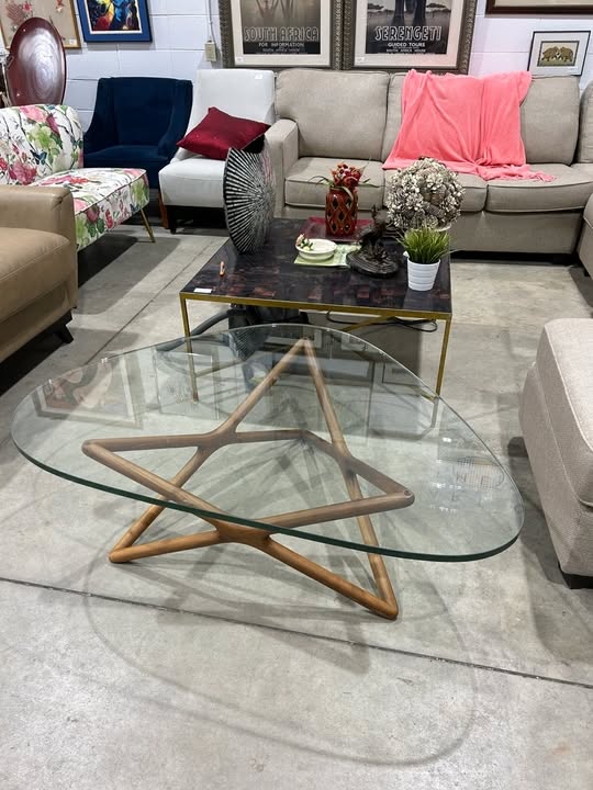 Unique Glass and Wood Coffee Table